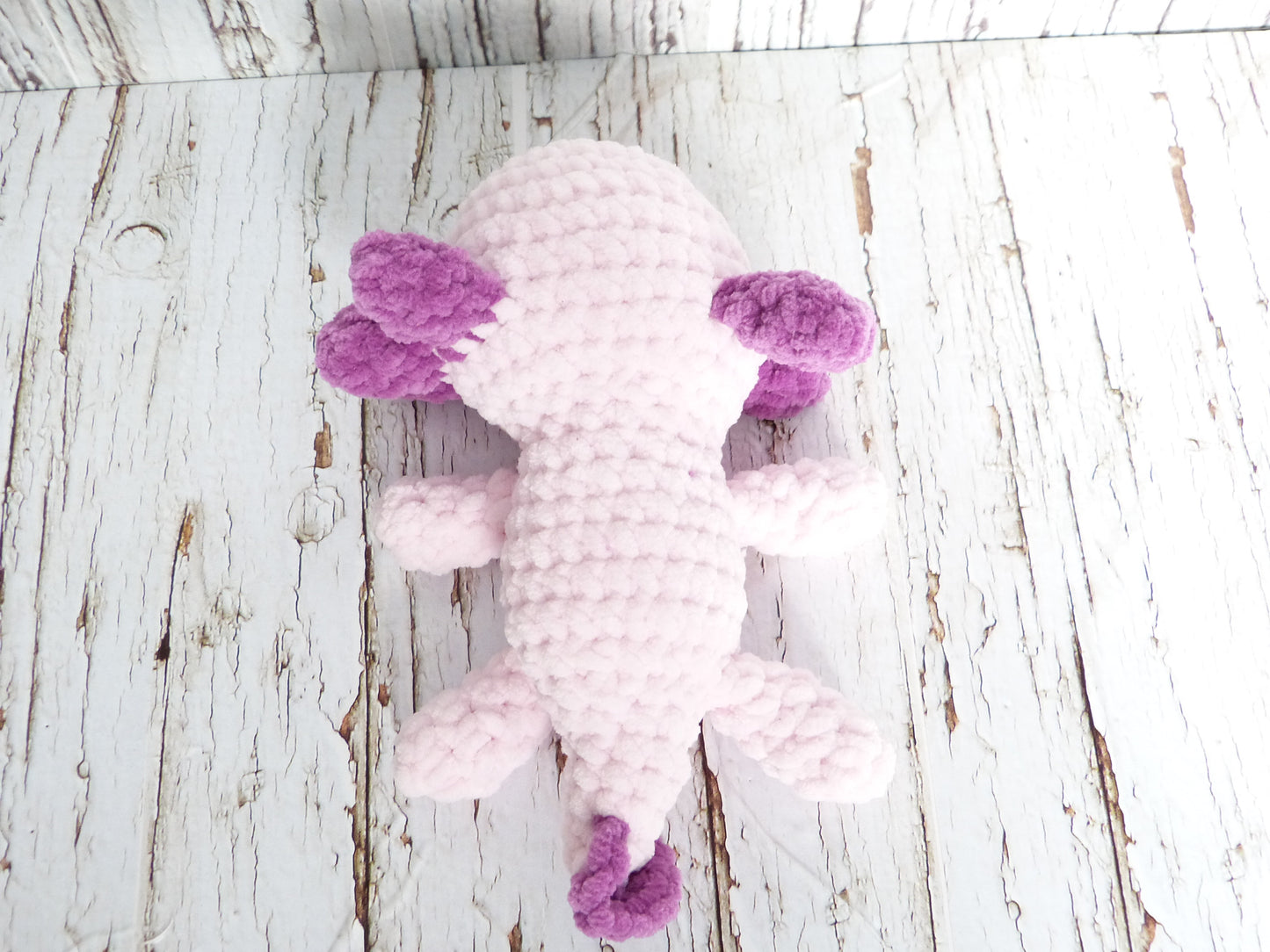 Axolotl