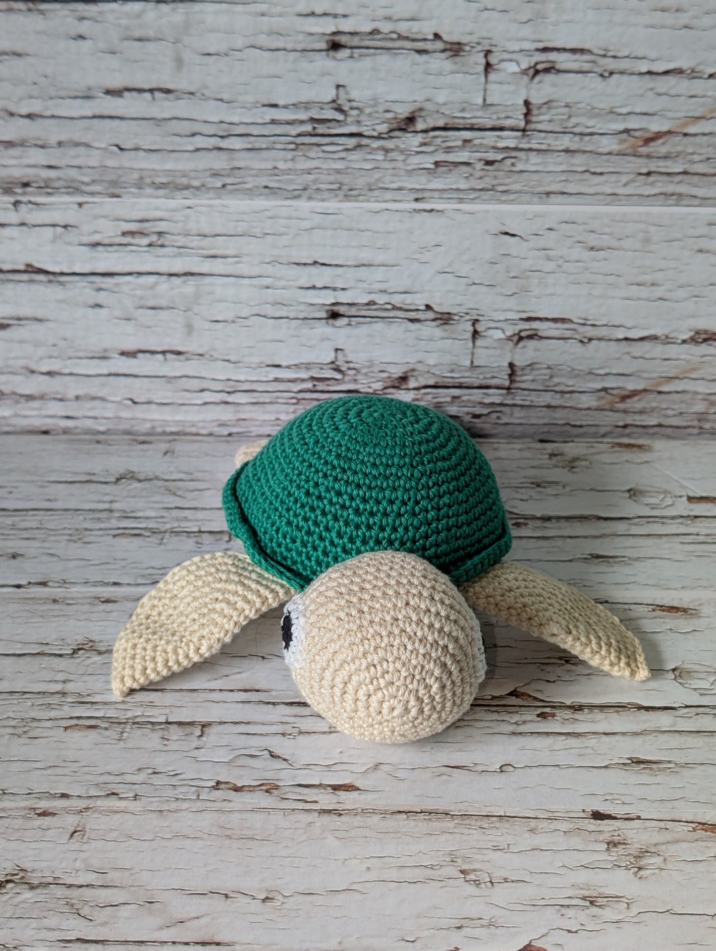 Tortue