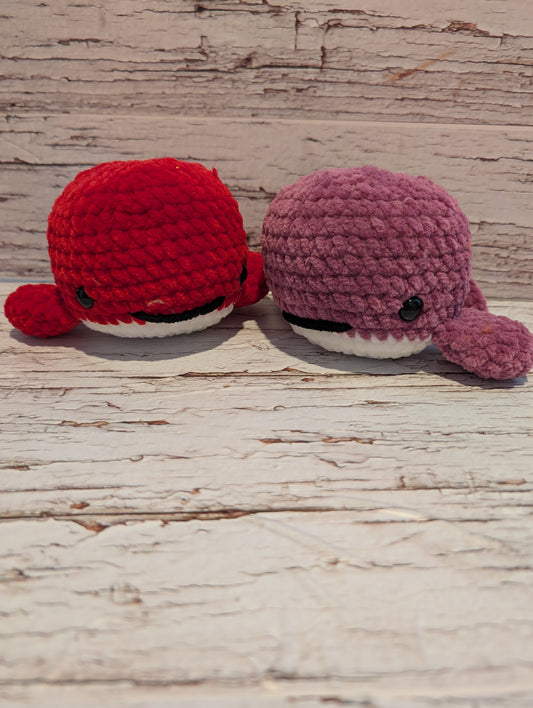 Baleine Colorée