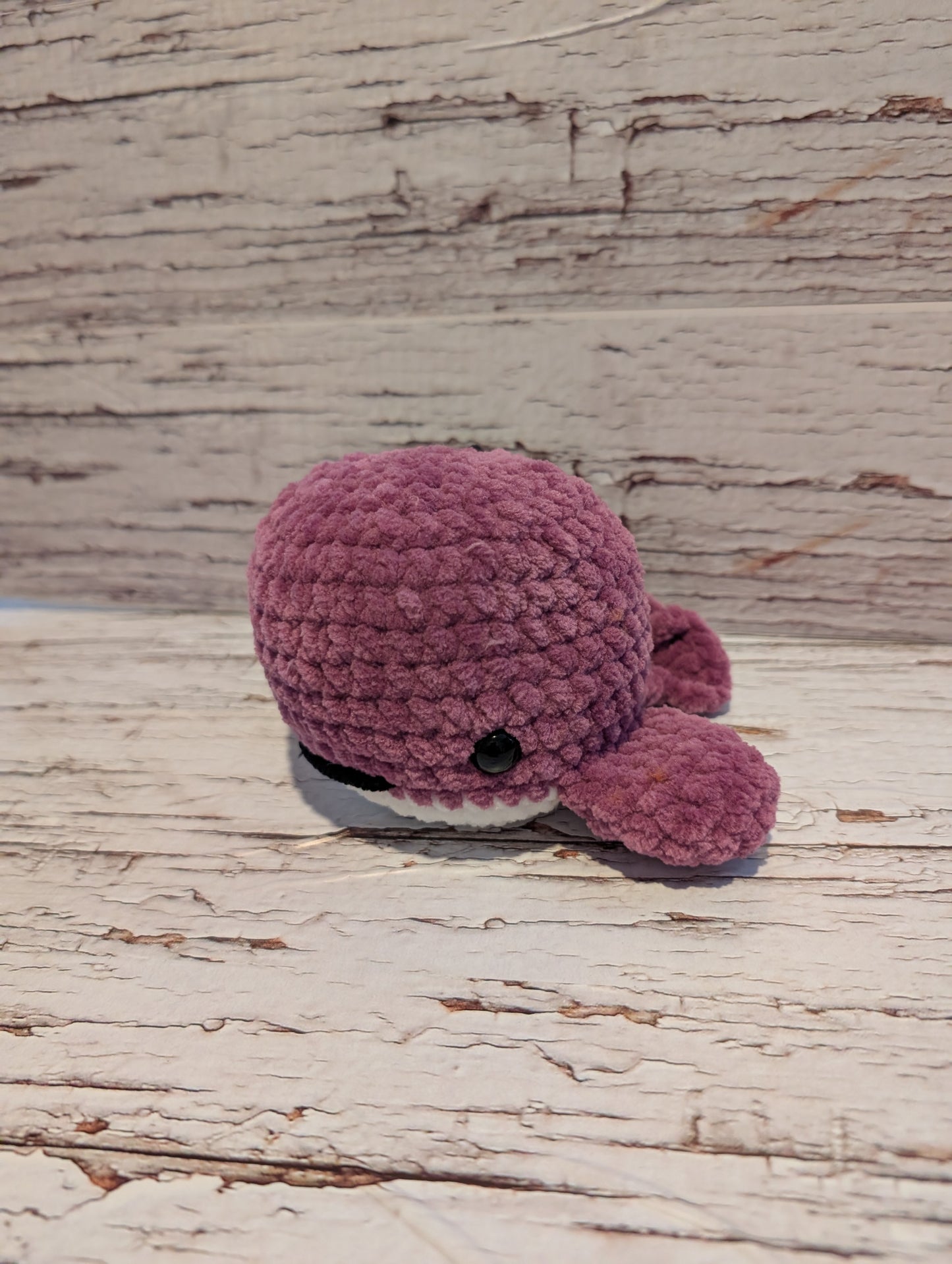 Baleine Colorée