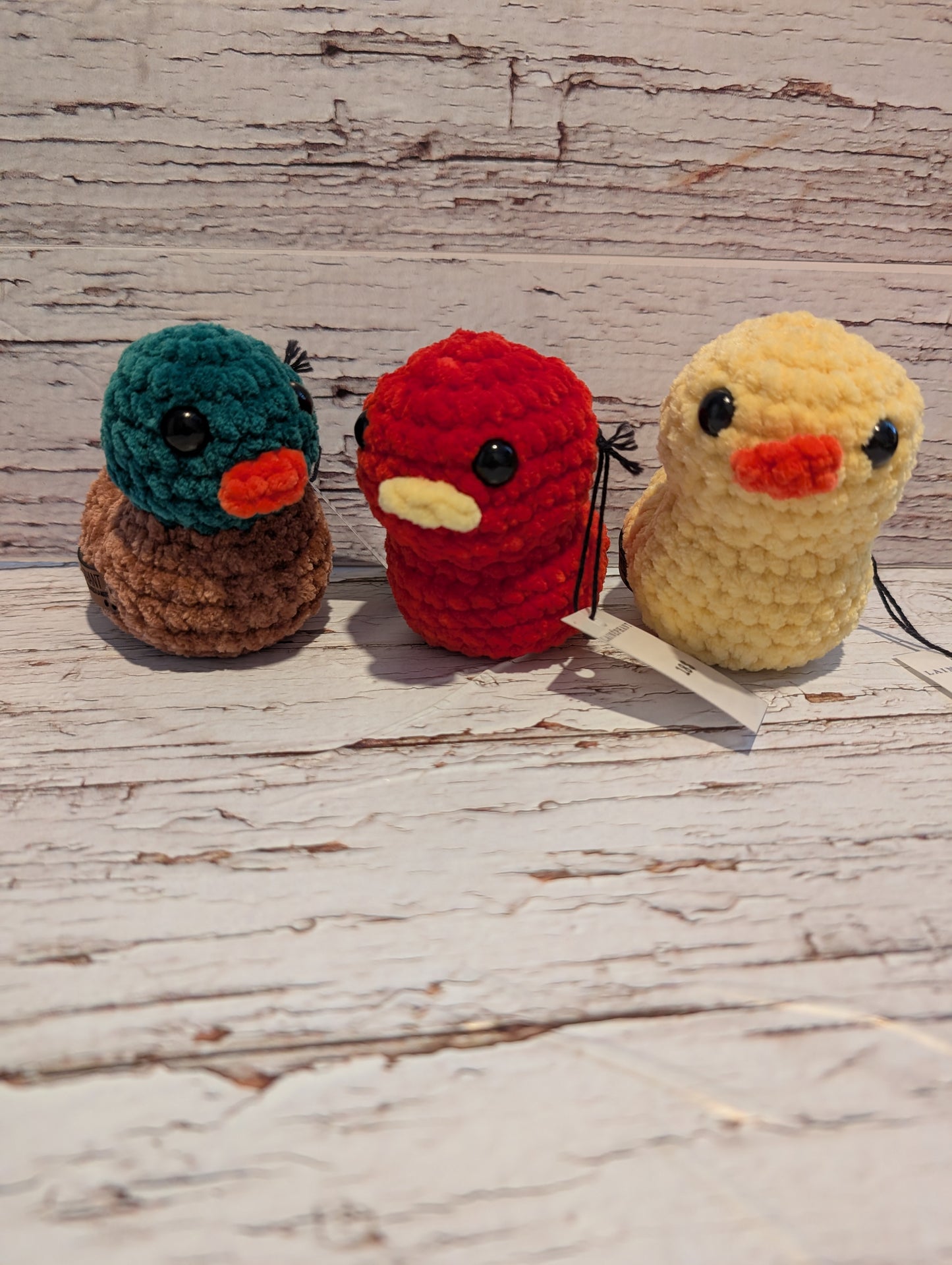 Canard