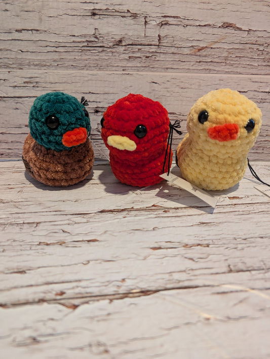 Canard