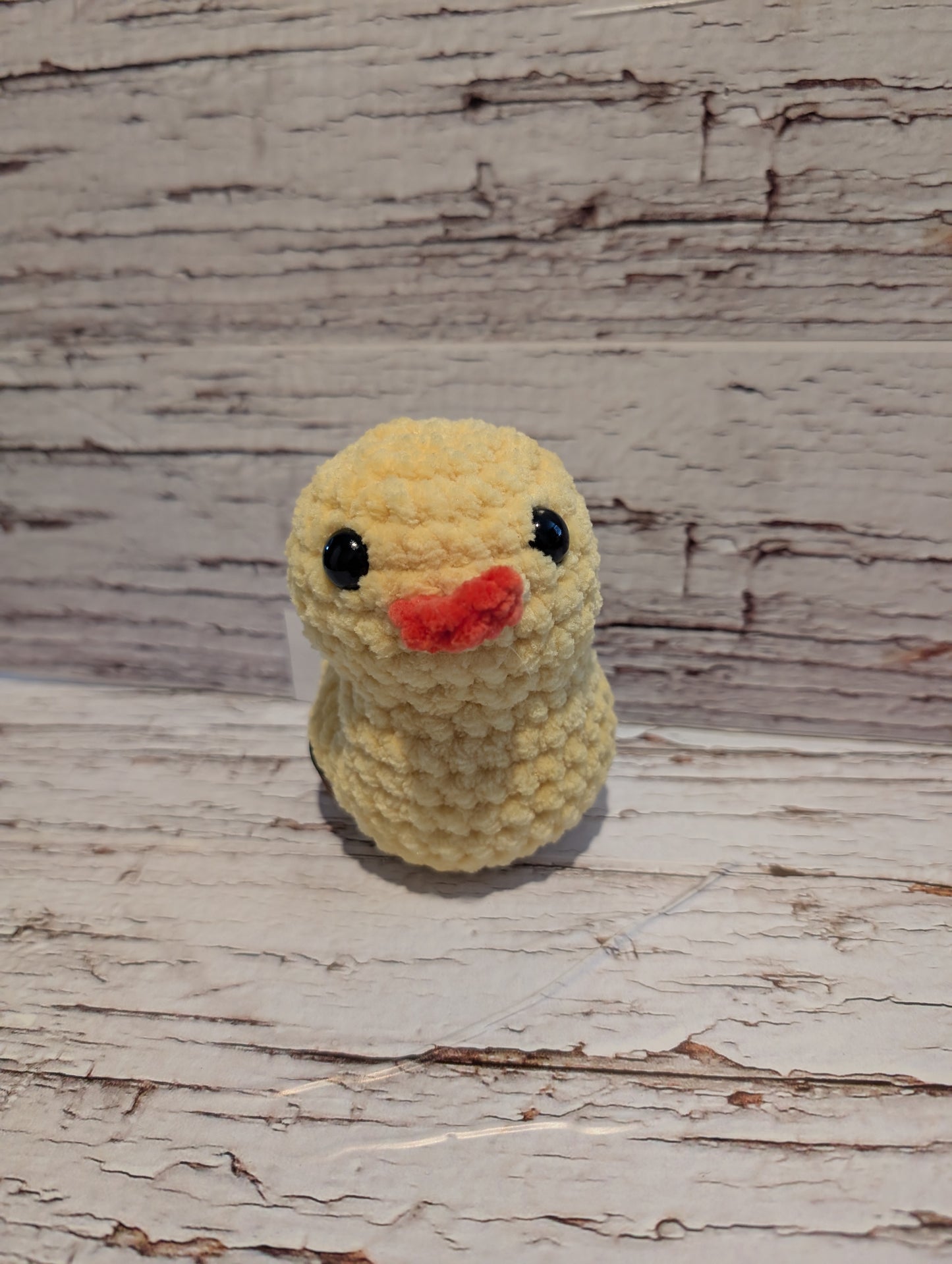 Canard