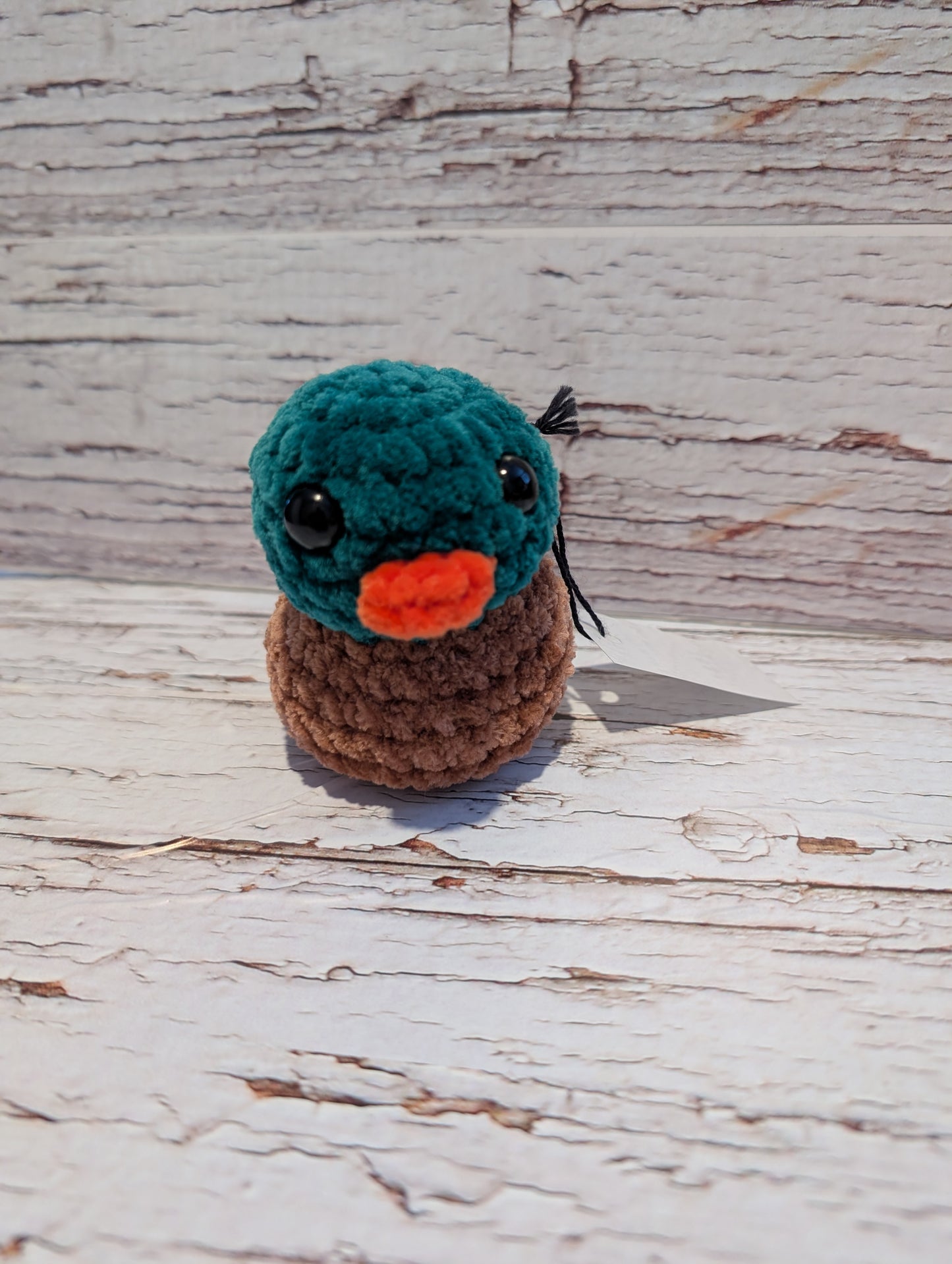 Canard